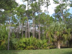 Naples Nature Preserve